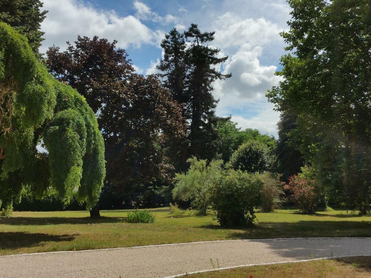Отель Au Cocon De Sologne Soings-en-Sologne Экстерьер фото